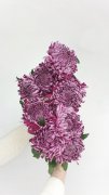 推廣效果好的關(guān)鍵詞多為展現(xiàn)量高、點(diǎn)擊率高、平均點(diǎn)擊價(jià)格較低的關(guān)